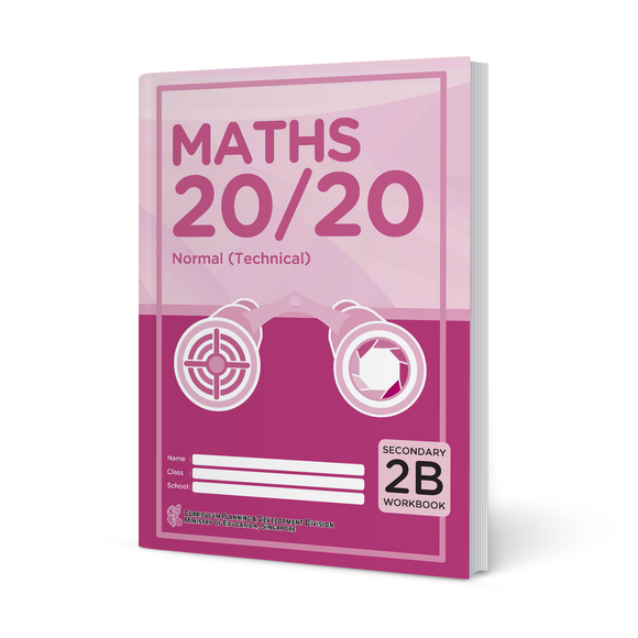 Maths 20/20 Normal (Technical) Workbook 2B